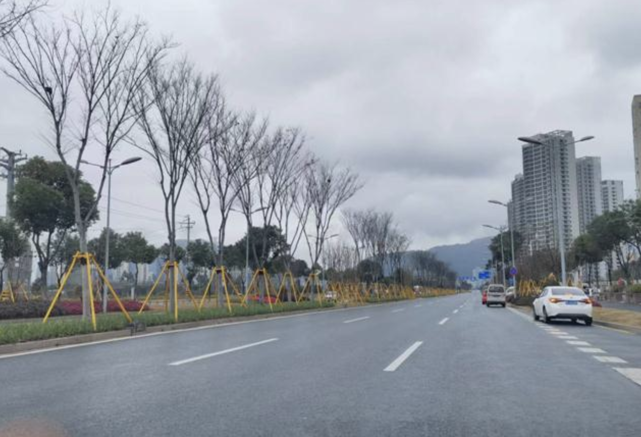 瓯海区今汇路（宁波路-集贤路）道路改造工程